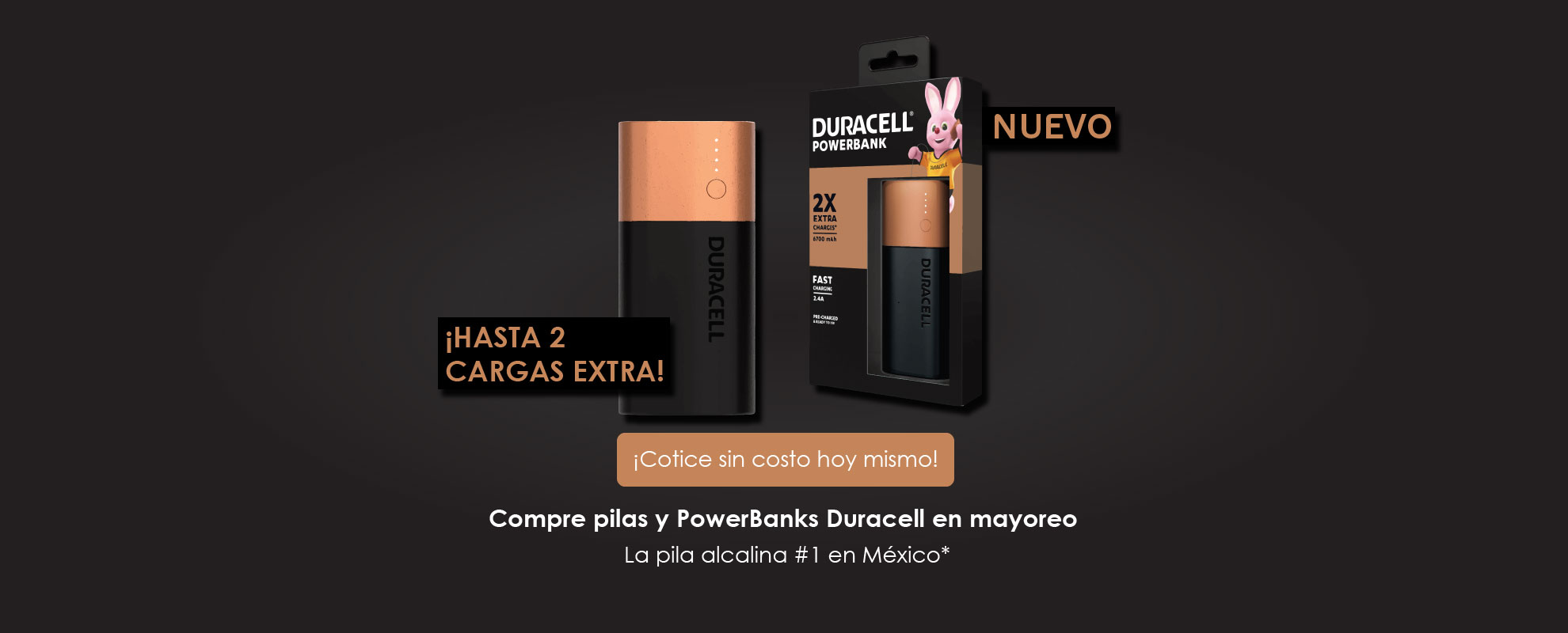 Banner-PowerBank